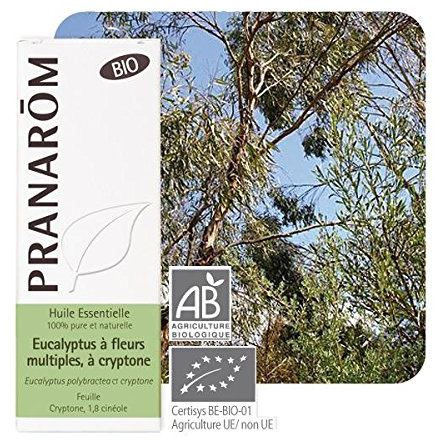Pranarôm Huile Essentielle Eucalyptus Polybractea Bio 10ml | Fleurs à Cryptone, Pure et Naturelle