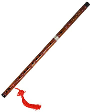DRESSOOS E-stimmflöte Mit Membranschutz Traditionelles Chinesisches Instrument Für Anfänger