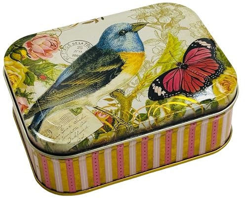 MediMuc Presentburk design Nostalgia – kärleksfullt utformad rektangulär liten miniburk – motiv fågel och fjäril – godisburk, pillerburk, plåtburk – mått: (L x B x H): 10,5 x 7,8 x 6,4 cm