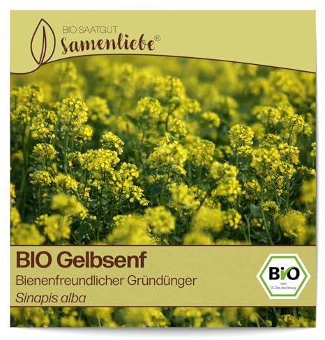 Samenliebe BIO Gelbsenf Samen Blumensamen bienenfreundlich 1000 Samen Blumen Samen Garten Gelbsenf Saatgut samenfeste einjährig Pflanzen für Garten und Freiland