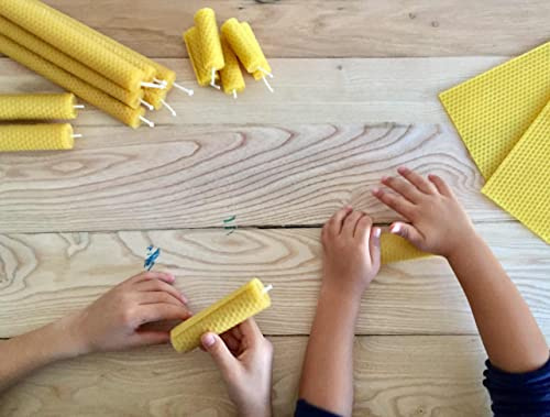 XXL Bienenwachs-Kerzen Bastelset für Kinder und Erwachsene 24 Große Kerzen deutsches Bienenwachs 2Kg inkl. Docht | 24 Bienenwachsplatten Duft DIY Kerzen selber Machen (19cm x 39cm min. 24St 2kgPaket)