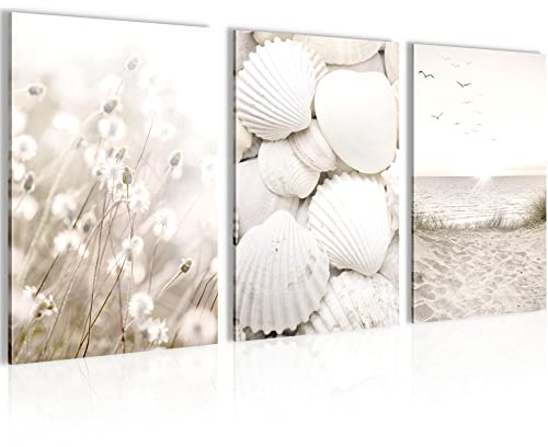 Novart AUFHÄNGFERTIG - Wandbilder Set Strand Muscheln - Wohnzimmer Bild XXL N001736a