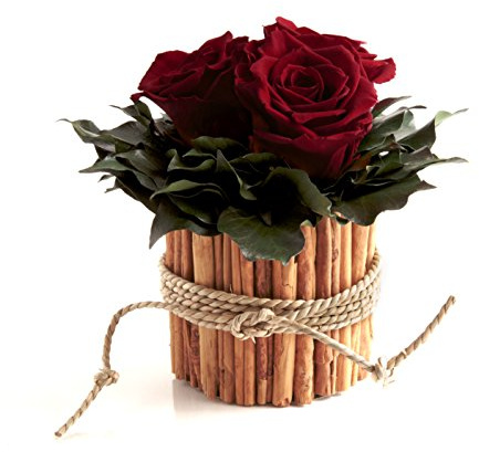 Infinity Rosenbox rund 3 echte dunkelrote Rosen in Vase aus Zimtstangen lange haltbar 3 Jahre (Burgundy, 3 Rosen)