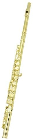 Flöte für Anfänger 16 Geschlossene, Offene Löcher, C-Tonart, Professionelles Langes Querflöten-Musikinstrument Mit Tonart Für Anfänger (Color : Gold)