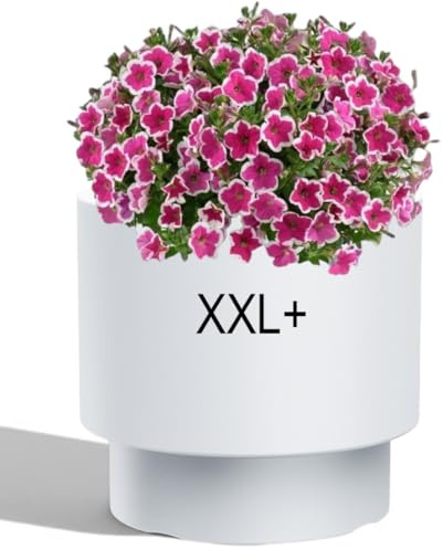 MELTOM Blumenkübel Rund mit Einsatz – Blumentopf Modern Matt – Frostfest & UV-beständig – Weiß – Größe XXL Ø 47 cm – für Innen & Außen