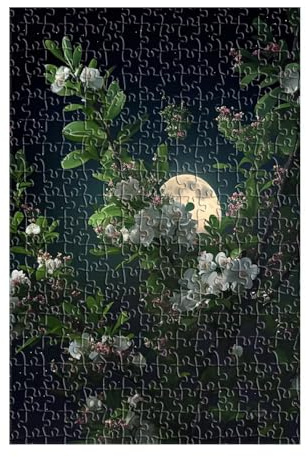 Puzzle 200 Pièces Adultes Blanc Bégonia Lune 35x25 cm Jeu Éducatif Impossible Difficile comme Cadeau et Décoration Murale Puzzle Adulte 200 Pieces