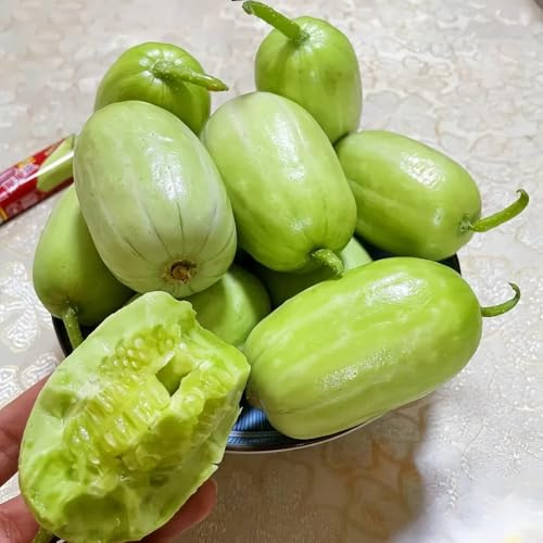 gurken - gurkensamen - gurke wintergemüse salatgurke, cucumis sativus, winterharte kübelpflanzen, kletterpflanzen alte sorten exotische 50pcs