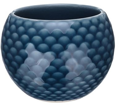 QUARKZMAN Tazze da tè fatte a mano 150ml / 5oz Tazza da tè cinese giapponese in ceramica Gong Fu Tea Set per ufficio casa regali, blu scuro