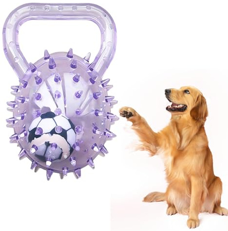 Coogime Balle pour chien avec poignée - Jouet de football pour chien - Pour soins dentaires - Divertissement intérieur et extérieur - Violet