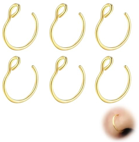 WUSJCOF Lot de 6 Faux Piercings de Nez en Acier Chirurgical (22G/20G/18G, 6-8mm)