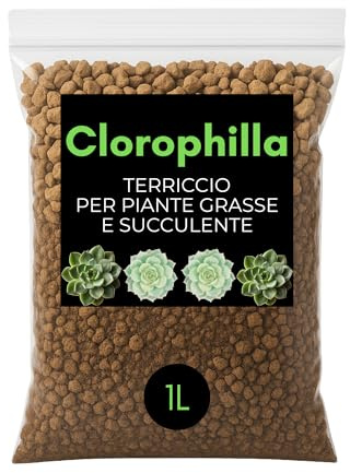 CLOROPHILLA Terreau Professionnel pour Cactus et Plantes Grasses – Substrat Drainant avec Sable Volcanique, Sable de Rivière et Pierre Ponce – Idéal pour Plantes Succulentes (1 Litre)