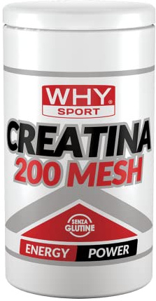 WHY SPORT CREATINA 200 MESH - Creatina - Pre Workout - Integratore Alimentare a Base di Creatina Monoidrato - 500 g