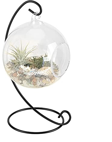 Borosilikatglas H?ngende Glase, Gro?es Terrarium mit Rahmen f¨¹r Luftpflanzen, Su Borosilikatglas,