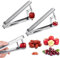 2 Pcs Denoyauteur Cerise et Prune, Inoxydable Dénoyauteur Mirabelle, Pour Dénoyauter les Fruits Rapidement et Faire de la Confiture ou de la Gelée