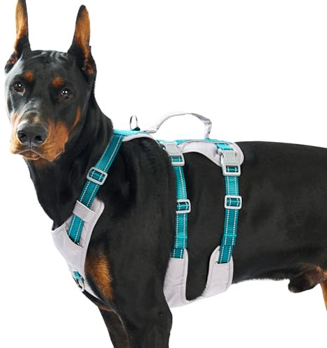 Huntboo Sicherheitsgeschirr Hund Ausbruchsicher, Panikgeschirr für Hunde, Reflektierendes Geschirr Hund mit Griff, Verstellbare Hundegeschirr für kleine, mittelgroße und große Hunde (Blaugrün,L)