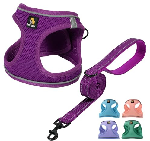 BELLA & PAL Hundegeschirr Kleine Hunde mit Leine, Step-in Geschirr aus Air Mesh, Anti Zug Reflektierend Atmungsaktiv Brustgeschirr, Welpengeschirr für Kleine Hunde, Katzengeschirr, Violett, XS