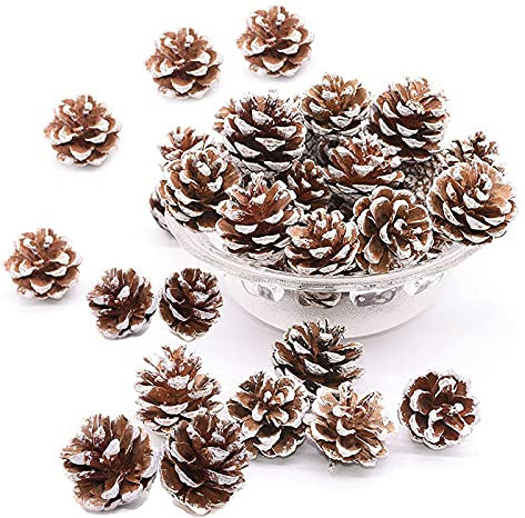 Ashuxxn 48 Pièces Pommes de Pin Naturelles Séchées Pommes de Pin Décoratives à Suspendre Décoration Pomme De Pin De Noël Décoration de Noël à Suspendre pour Décoration de Sapin de Noël (Blanc)