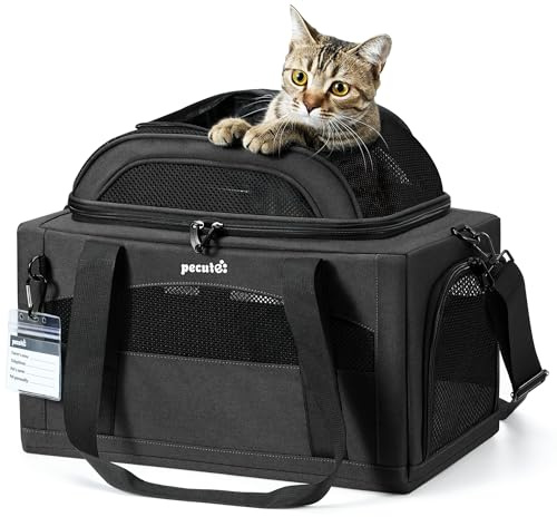 pecute kattväska flygplan transportväska stabilt grepp husdjur bärväska, transportbur katt lätt, vikbar kattväska för katter och små hundar, perfekt för resor, grå