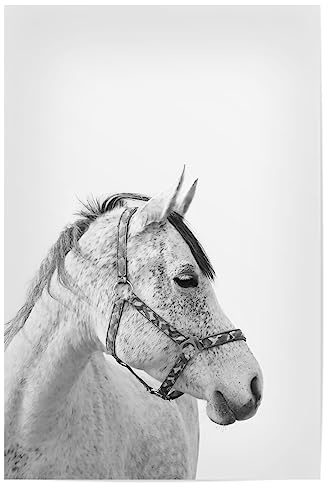 artboxONE Poster 30x20 cm Pferde Tiere Horse 3 hochwertiger Design Kunstdruck - Bild horse boho farm