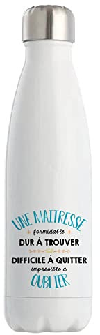 Botella térmica Formidable Amante | Botella Idea Regalo Trabajo Trabajo Trabajo Empleo Iniciar Retiro Colega Mujer