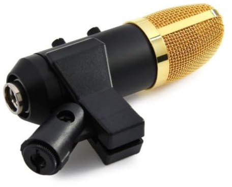 Microfono Condensatore con Riverbero Regolabile in Metallo F100TL USB | Suono Surround 3D, Supporto Regolabile Resistente, Riduce Rumore di Presa, per Computer e Casa, Nero