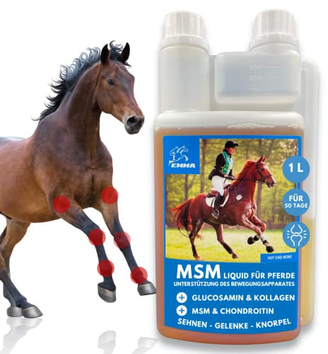 EMMA MSM Pferd Gelenk Liquid für Pferde mit Glucosamin Chondroitin MSM Schwefel Kollagen Pferd Hochdosiert - Zusatzfutter Stärkung der Gelenke Sehnen Knorpel Bänder einfacher dosierbar als Pulver 1L