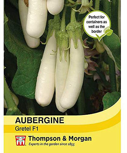 Aubergine ‘Gretel’ 1 Packet (5 Seeds)
