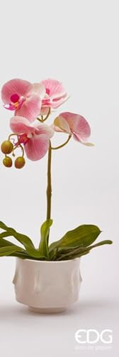 EDG Enzo de Gasperi Pianta Orchidea con Vaso da Interno Bianco, Fiori Artificiali per Decorazioni H40 cm 3 Varianti Bianco