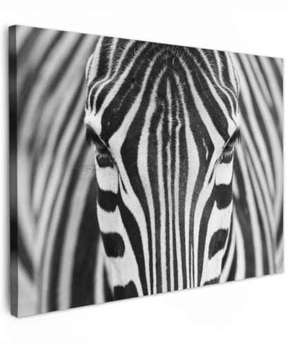 MuchoWow© Bilder Wohnzimmer Deko Modern Wandbild Foto auf Leinwand Bild | 80x60 cm - Schlafzimmer Room Decor Geschenke Schwarzweiss - Weiss - Zebra - Tiere - Schwarz und Weiß - Porträt