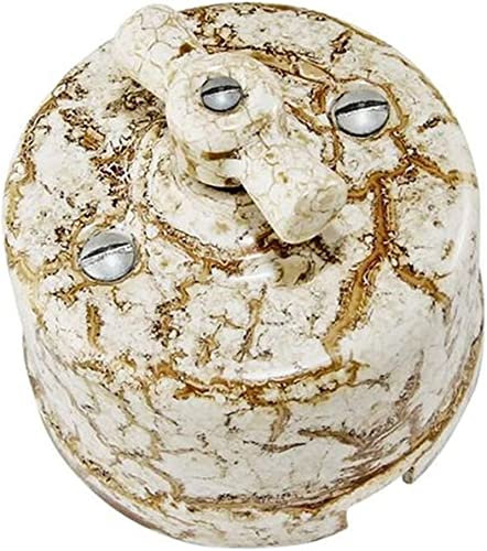 JCAKES Codificador rotativo Interruptor de luz de Porcelana Vintage rotativo con función del conmutador (Color : Marble, Size : 1 Gang)