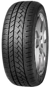 FORTUNA - 195/55 R15 TL 85H ECOPLUS 4S BSW M+S 3PMSF - Ganzjahresreifen