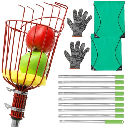 KTCINA Obstpflücker mit Teleskopstiel 4/5m mit Obstkorb 35 x 14 cm Apfelpflücker Verstellbares Läng Großer Rotierender Kirschenpflücker Ultra Leicht Stabil Platzsparend Fruchtpicker Pflückhilfe (4m)