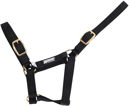 Roma Foal Headcollar, Black, Foal