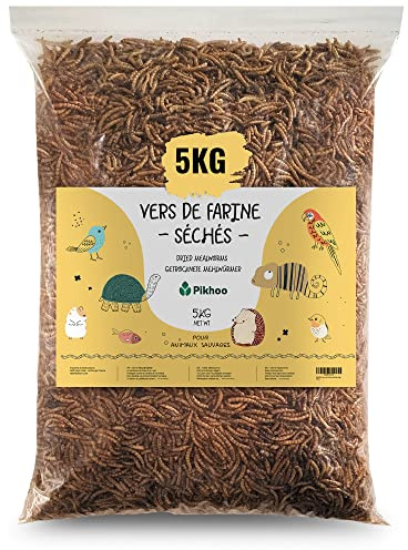 vermi di Farina Secchi | 5kg | Insetti Commestibili vermi di Farina per Uccelli del Cielo Insetti secchi Cibo Uccelli Esterni