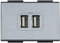 BTicino Light NT4285C2 Caricatore USB 2 Posti per Cellulare, Smartphone, Tablet e Similari