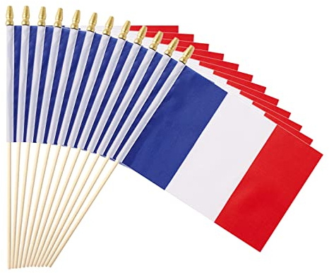 Ckexin 25Pack Small France Flag Handheld Mini French Flag on Stick 5x8 Inch