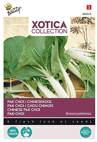 Buzzy Xotica Chinese Pak Choi, White stemmed Seeds