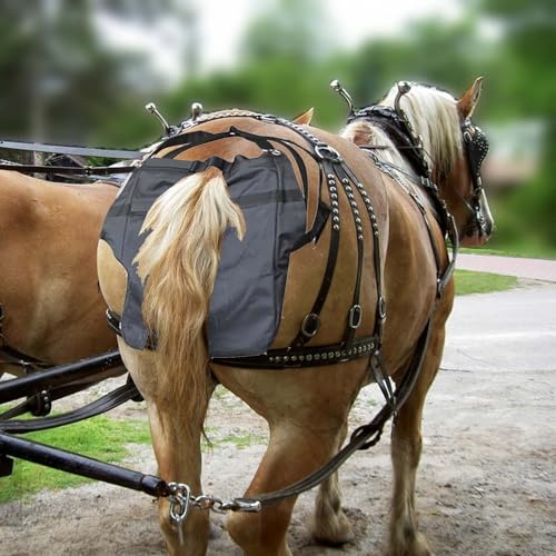 Bolsas de estiércol de caballo Pañal para Caballos de Oxford para Montar, Bolsa para Recoger Excrementos de Poni para Desfiles, Bolsa Lavable para Recoger Estiércol de Equinos.(L)