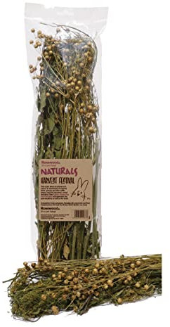 Rosewood Naturals Harvest Festival, Small Animal Treat for Rabbits, Guinea Pigs, Chinchillas, Degus, Hamsters, Gerbils, Mice and Rats, 80g