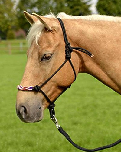 Wildhorn Knotenhalfter Indian Spirit (royalblau, Vollblut)