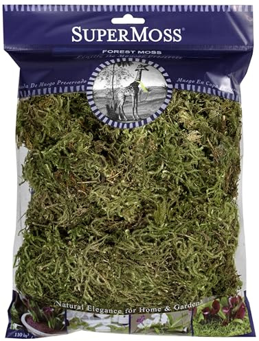 SuperMoss (21576) Forest Moss - Long-Lasting Natural Moss for Indoor Plants, Crafting, and Home Décor, 120 cu in, Dried
