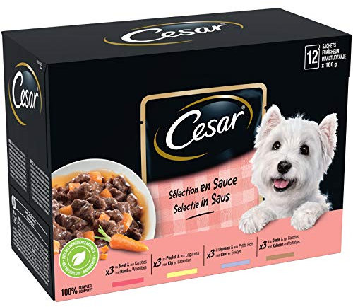 Cesar Mahlzeit für Hunde – 48 Frischebeutel (4 Packungen mit 12 x 100 g) – Nassfutter für Hunde in Sauce – Rindfleisch/Huhn/Lamm/Truthahn – Vollnahrung & ausgewogene Ernährung mit natürlichen