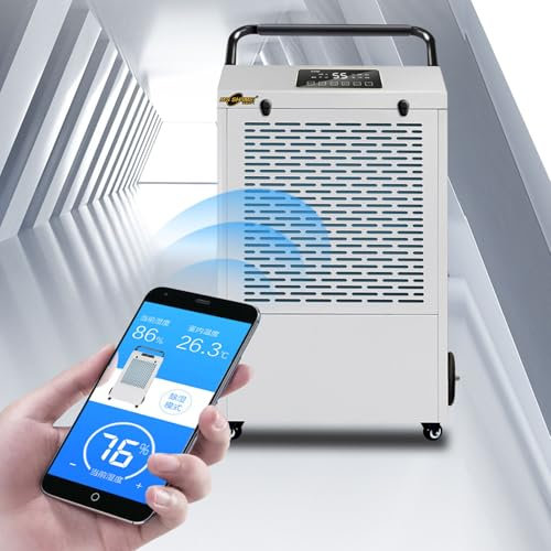 RayGenius Deshumidificador DoméStico De Compresor De 60 litros/DíA con Eficiencia EnergéTica Comercial, Drenaje Continuo, Reinicio AutomáTico, Temporizador De 24 Horas, Control De Humedad,White