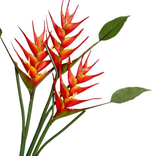 Héliconia Lot de 3 fleurs artificielles en forme d'oiseau de paradis - 63,5 cm de hauteur - Rouge/orange - Pour décoration de maison/bureau (orange)