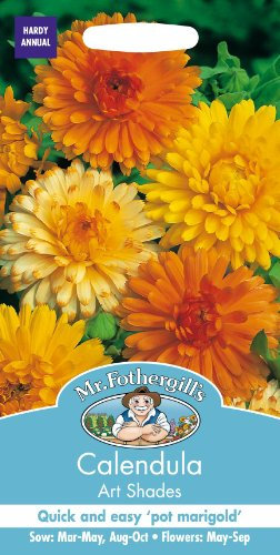 Mr Fothergills - Pictorial Packet - Flower - Calendula Art Shades - 120 Seeds