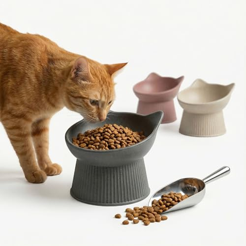 PiuPet® Upphöjd kattmatskål med 15° lutning I Ergonomisk matskål för våt- och torrfoder I morrhårsvänlig I halkfri I diskmaskinssäker I mot kräkningar (Grå)