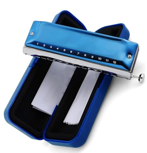 Das chromatische Mundharmonika-Instrument mit 12 Löchern ist aus robustem Edelstahl gefertigt Mundharmonika-Set(Color:D)
