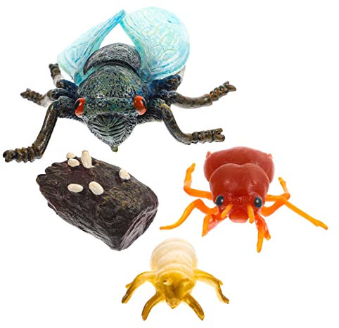 ULTECHNOVO Simulation Zikaden Modellset Aus Kunststoff Realistisch Detailreiche Wachstumszyklus Darstellung Pädagogisches Lernspielzeug Für Kinder Farbiges Ausstellungshandwerk