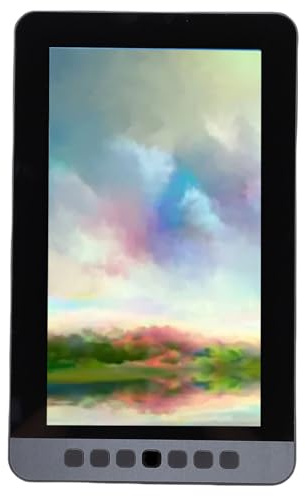 Fdit Tavoletta Artistica Digitale da 11,6 Pollici con 6 Tasti di Scelta Rapida, Penna Senza Batteria, Applicazioni Versatili, Tavoletta Grafica per Prendere Appunti