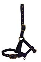 Hy Foal Head Collar - One Size